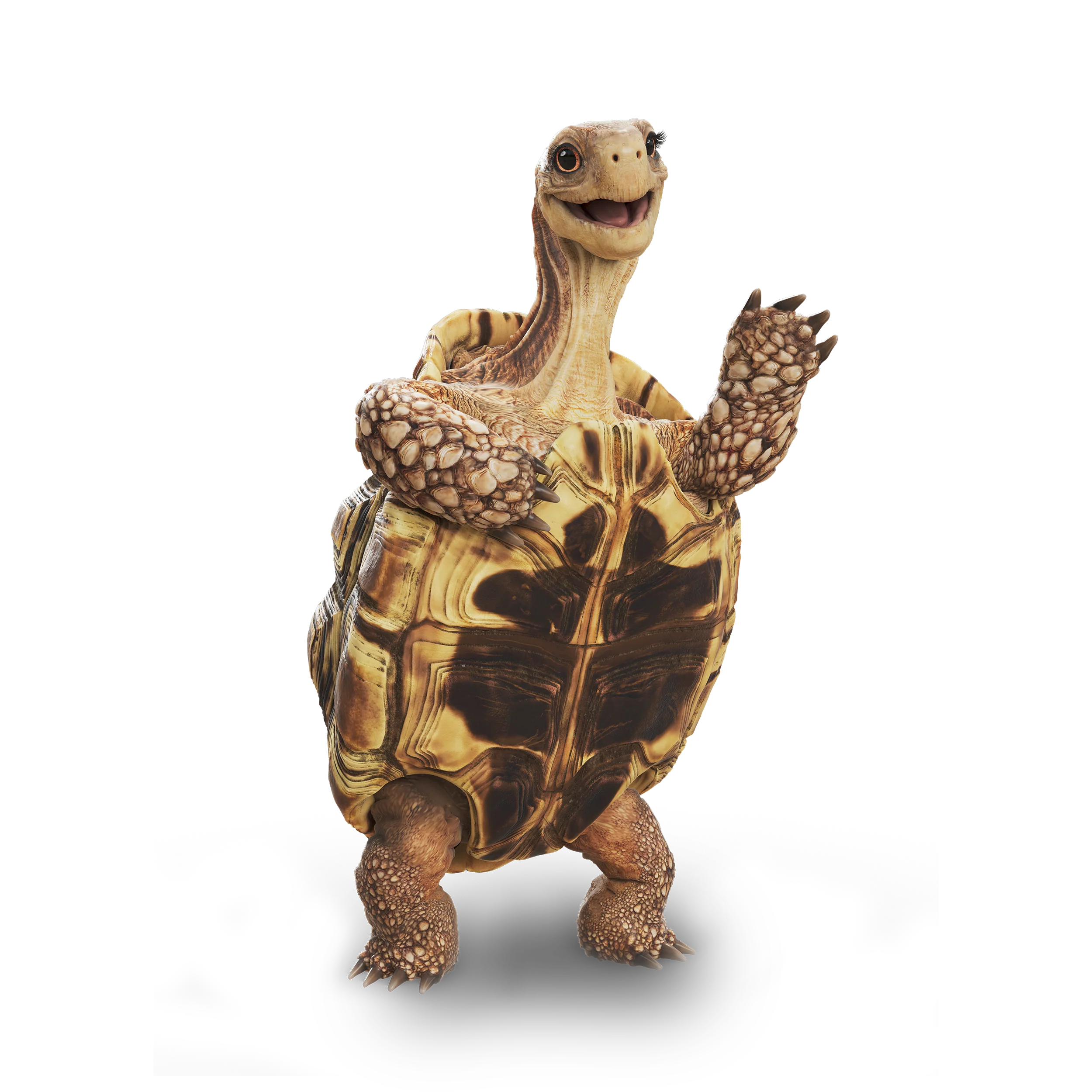 Henrietta, die Schildkröte - Die Schule der magischen Tiere - Offizieller Shop zum Film