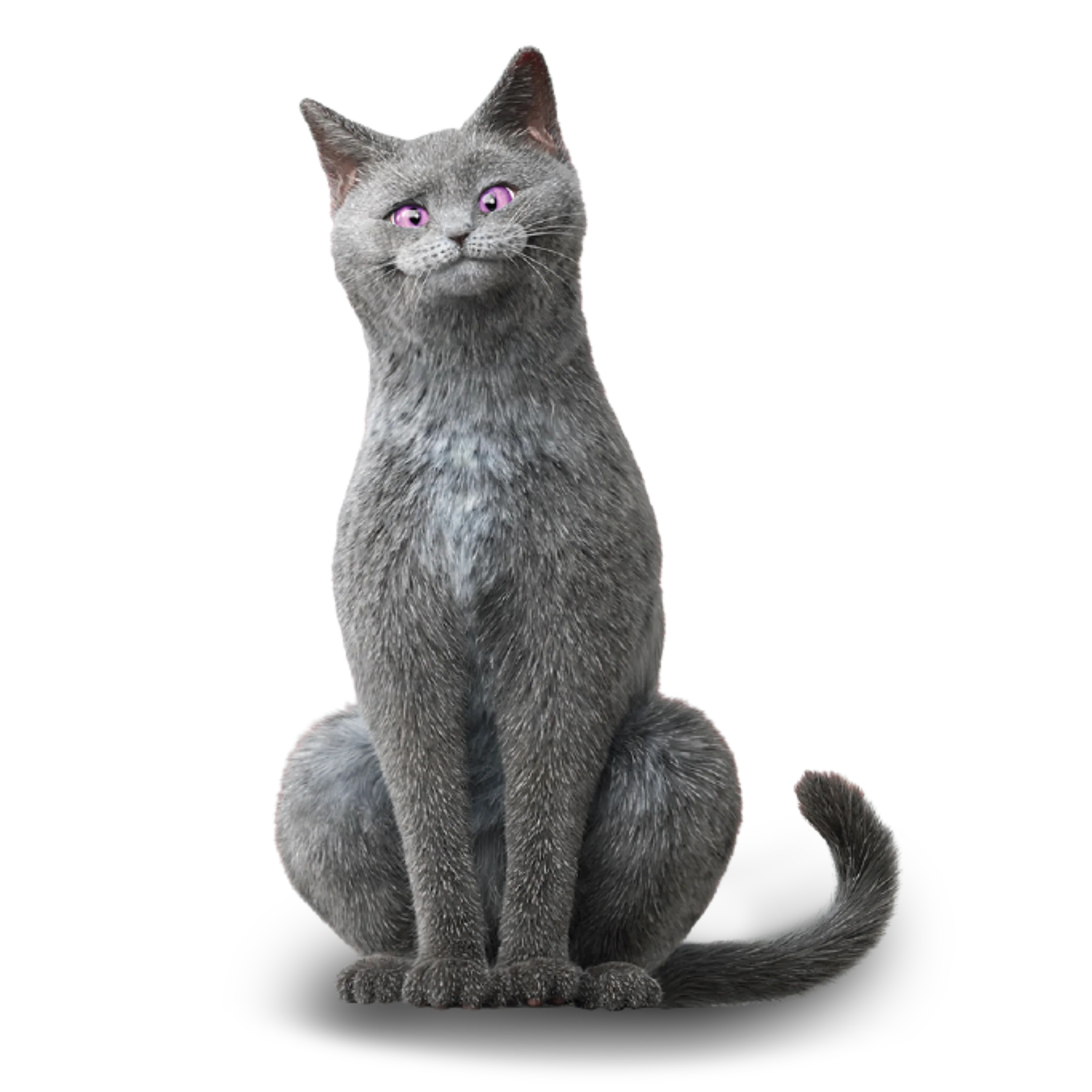 Karajan, der Kater
