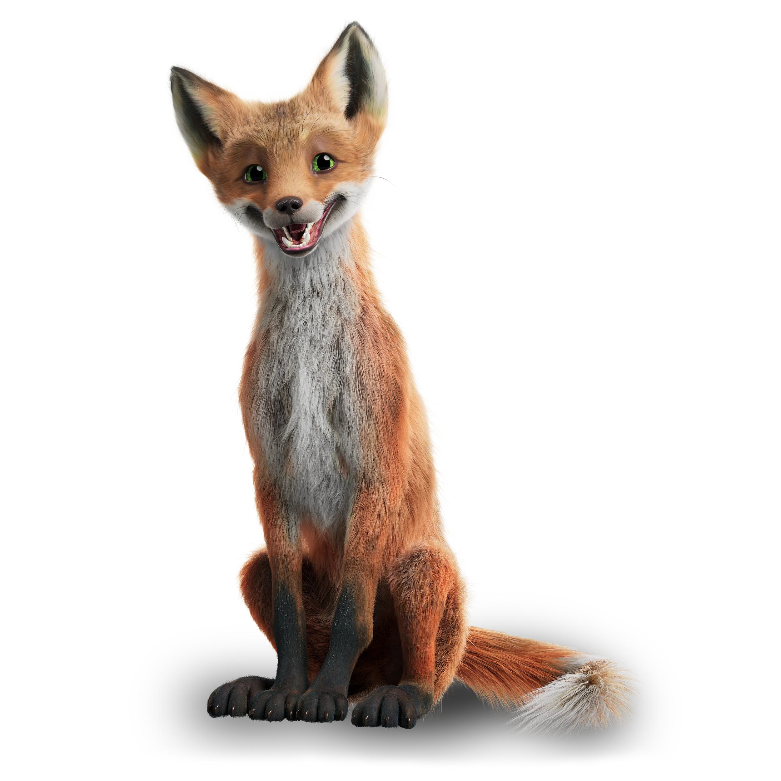 Rabbat, der Fuchs - Die Schule der magischen Tiere - Offizieller Shop zum Film